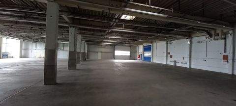 Kassel Halle, Kassel Hallenfläche