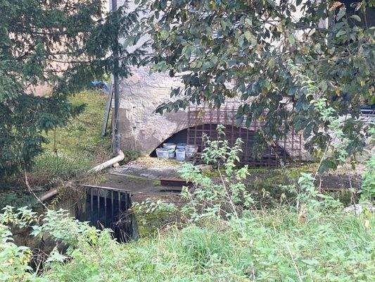 Bachlauf der ehemaligen Mühle