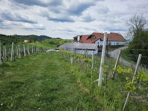 Gamlitz Bauernhöfe, Landwirtschaft, Gamlitz Forstwirtschaft