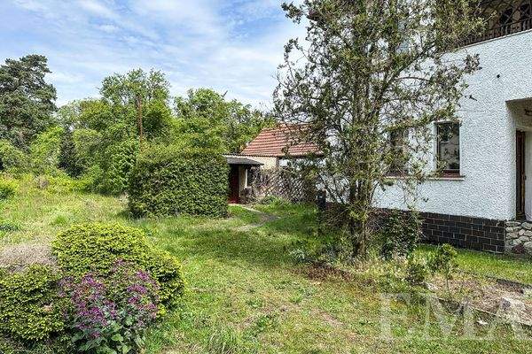 Garten und Zufahrt zur Garage