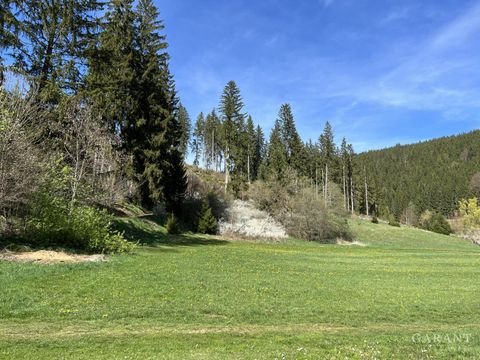 Titisee-Neustadt Häuser, Titisee-Neustadt Haus kaufen