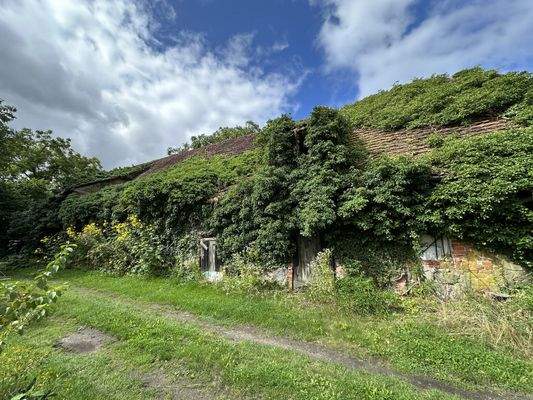 Bild20