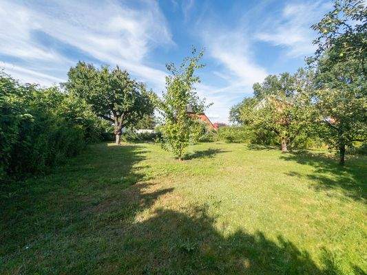 Garten mit viel Gestaltungsfreiheit