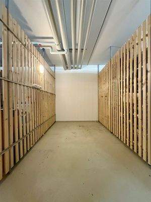 Geräumiger Kellerraum mit Licht und Strom