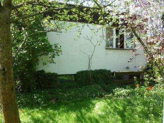 Hinterer Garten SZ Fenster