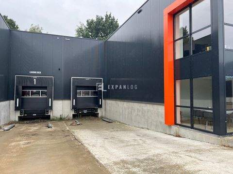 Willich Halle, Willich Hallenfläche