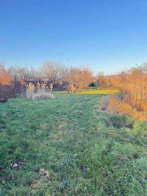 Dresden Häuser, Dresden Haus kaufen