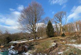 Seitlicher Blick auf das Grundstück 