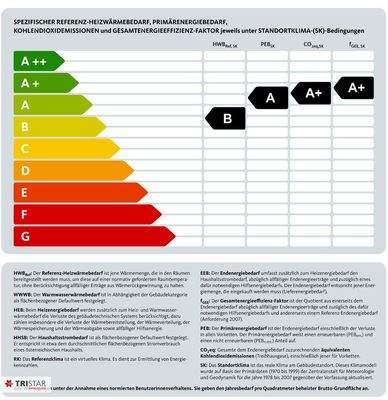 Bild 19