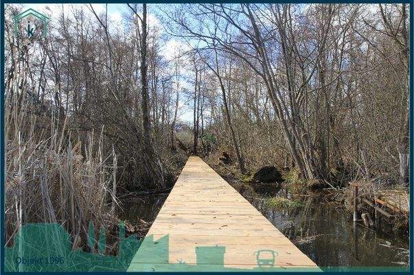 1996 Steg mit Blick zum Ufer.jpg