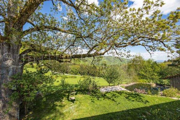 Garten / Außenbereich