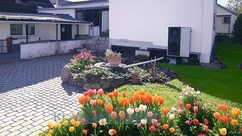 Osternienburger Land Häuser, Osternienburger Land Haus kaufen