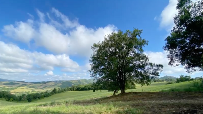 Screenshot 2025-10-20 alle 17.12.03.png