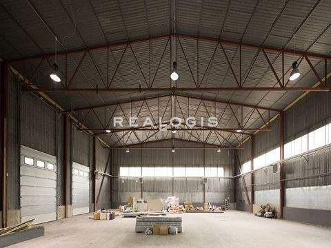 Olching Halle, Olching Hallenfläche