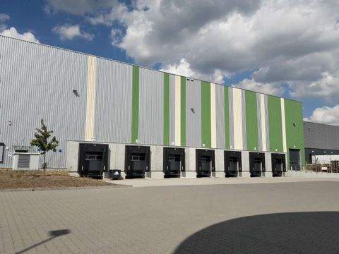 Gau-Algesheim Halle, Gau-Algesheim Hallenfläche