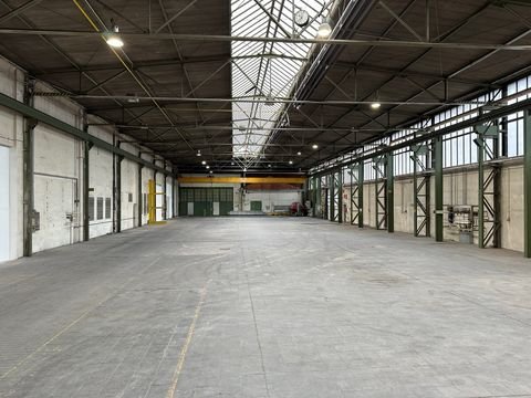 Bielefeld Halle, Bielefeld Hallenfläche