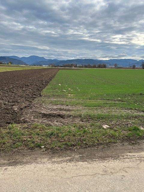 Bad Krozingen Grundstücke, Bad Krozingen Grundstück kaufen