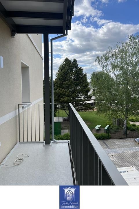 Dresden Wohnungen, Dresden Wohnung mieten