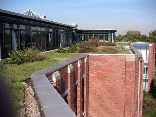 Sonnige Dachterrasse