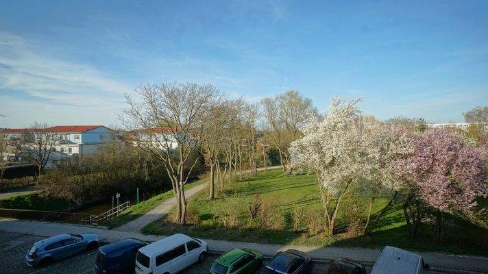 Aussicht Dachgeschoss vorn