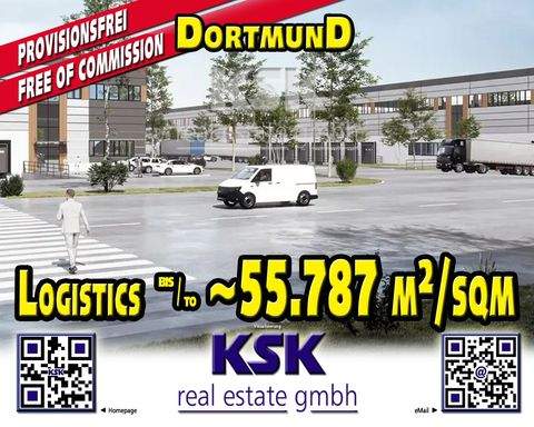 Dortmund Halle, Dortmund Hallenfläche