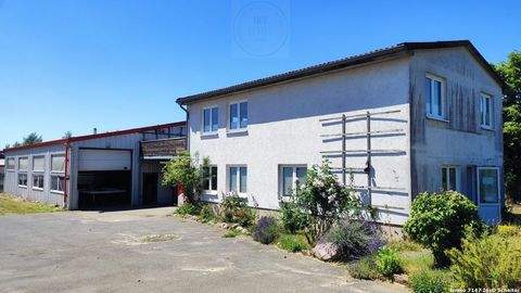 Rechlin Halle, Rechlin Hallenfläche