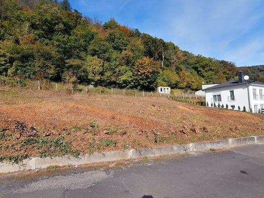 Grundstück Fachbach-Oberau 