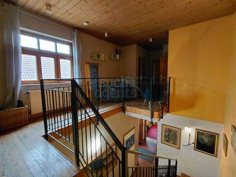 Traiskirchen Häuser, Traiskirchen Haus kaufen