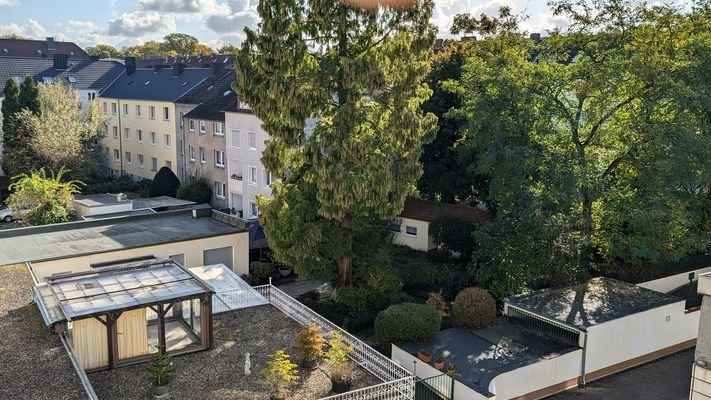 Foto Blick Garten.jpg