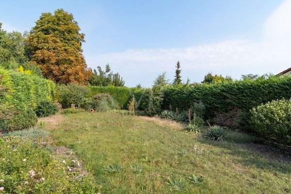 Garten hinter der Halle