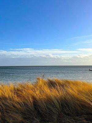 Dem Meer ganz nah.jpg