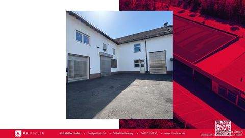 Plettenberg Halle, Plettenberg Hallenfläche