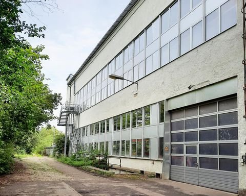 München Halle, München Hallenfläche