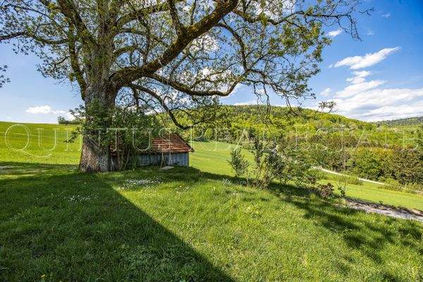 Garten / Außenbereich