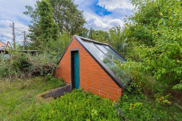 Garten - Gewächshaus