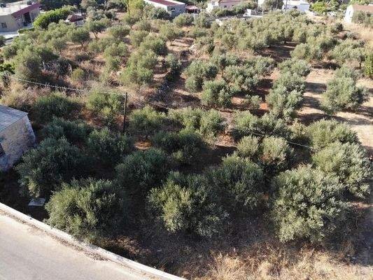 Kreta, Xirosterni: Grundstück in ruhiger Lage mit Berg- und Meerblick zu verkaufen