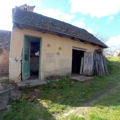 9 20250331_093803.jpg