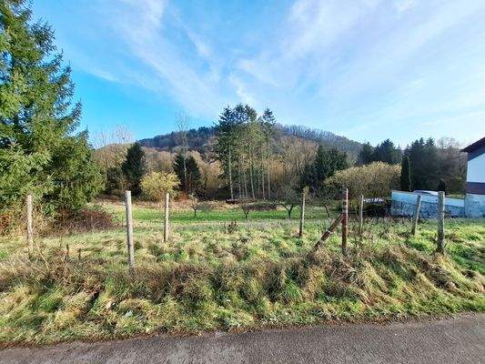 Grundstück Hausbacher Straße Ansicht 3.jpg