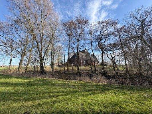 hintere Ansicht Rehweg