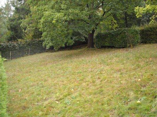 2021-12-03 02.45.50.jpg