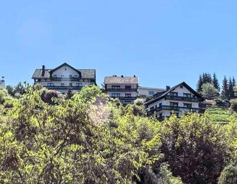 Walkenried Häuser, Walkenried Haus kaufen