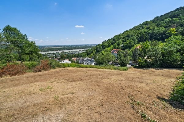 Ausblick auf die Donau