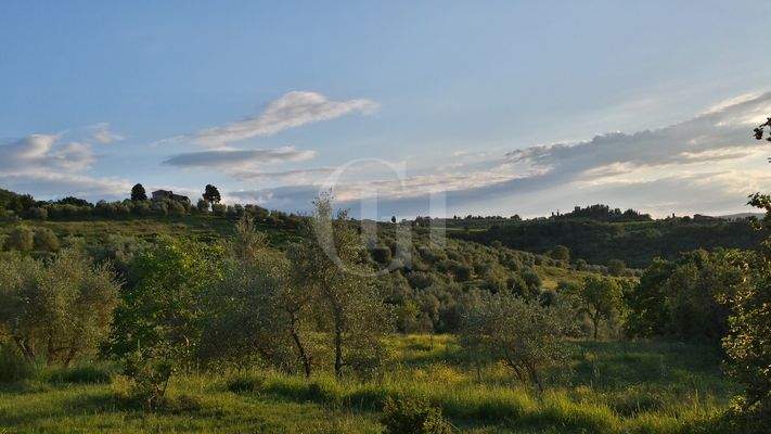 20150524_195902_Richtone(HDR)