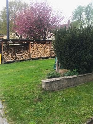 IMG_1741.jpg
