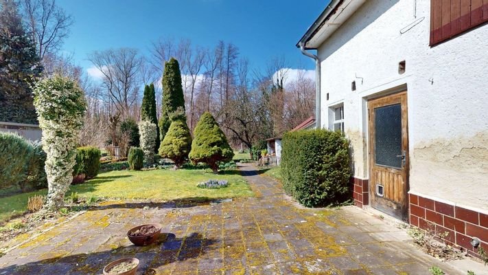 Blick in den Garten