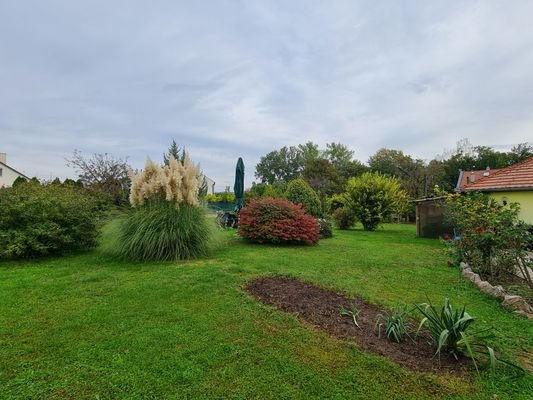 57.jpg