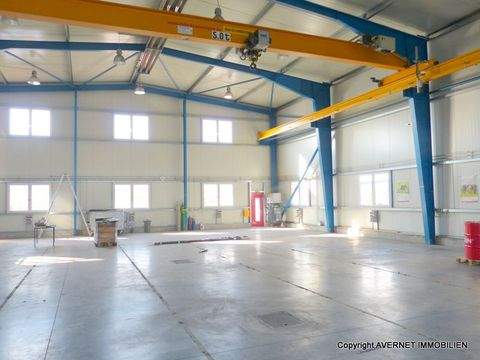 Grenzach-Wyhlen Halle, Grenzach-Wyhlen Hallenfläche