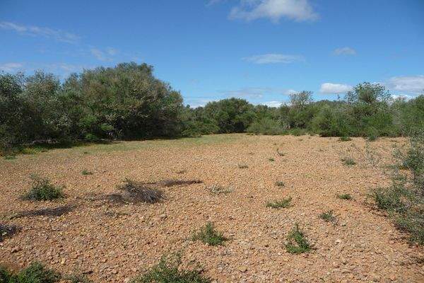 Grundstück alternativ