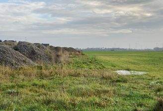 zukünftiges Baugebiet