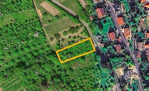 Leinach Grundstücke, Leinach Grundstück kaufen